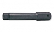 Bit - Innen 6-kt. 107-16 (L100) 22 mm
